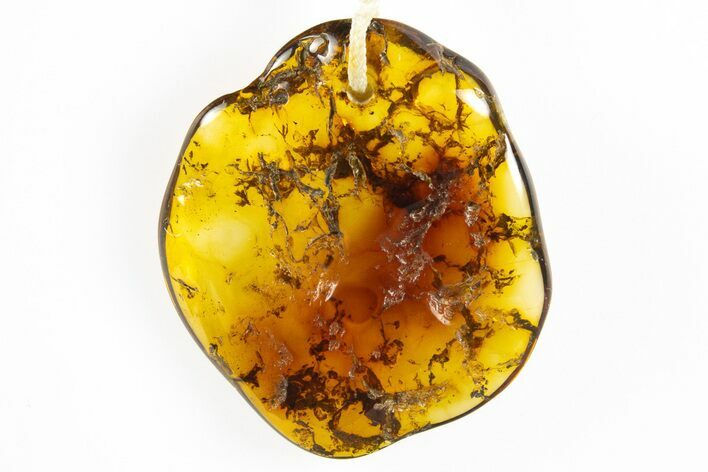 Polished Chiapas Amber ( g) Necklace - Mexico #304350